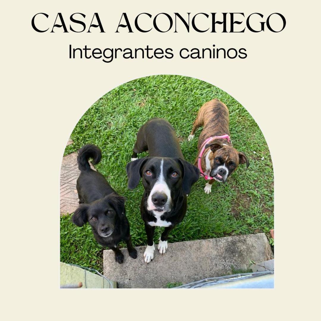 Casa Aconchego 345 Ao Lado Alles Park Pomerode Ngoại thất bức ảnh